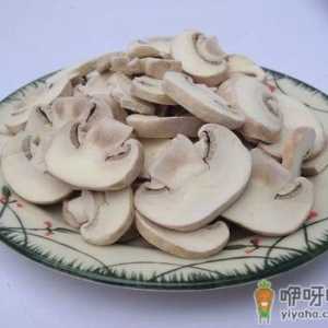 双孢菇的营养价值-双孢菇的做法