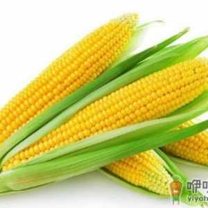 记忆力减退怎么办 五种食物助你增强记忆力
