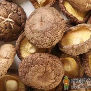 如何泡发干香菇和干黑木耳？泡香菇加糖，发木耳加盐