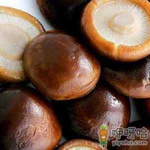 如何清洗香菇？香菇怎样清洗最干净