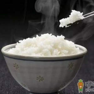 新煮张：米饭的美妙做法