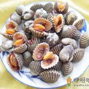 泥蚶怎么做？泥蚶的做法-泥蚶的营养价值