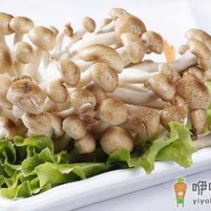 真姬菇的营养价值 真姬菇的做法