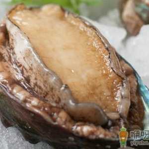 如何挑选优质鲍鱼？鲍鱼的挑选方法