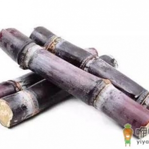 揭秘甘蔗的营养新吃法