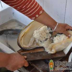 河蚌怎么洗才干净？河蚌怎么做好吃？河蚌肉的做法