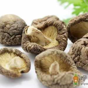 珍珠菇的功效 珍珠菇的做法