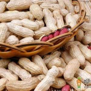 白癜风有哪些危害？白癜风患者不能吃什么？
