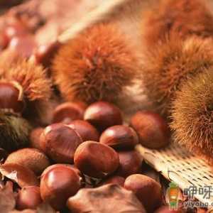 板栗怎么保存？板栗的储存方法