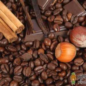 巧克力花样吃法巧手做美味甜点 史上巧克力误解揭秘