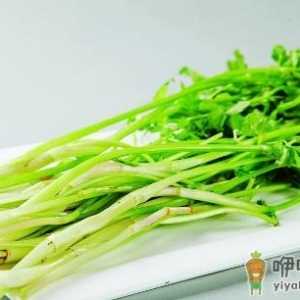 怎么吃芹菜才能够降压