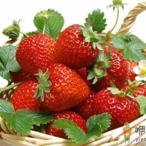 如何挑选新嫩多汁的草莓