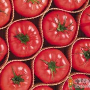 孕妇能吃西红柿吗？孕妇吃西红柿有什么好处