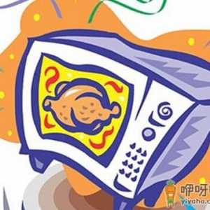 油炸食品不能放进微波炉-微波炉使用禁忌