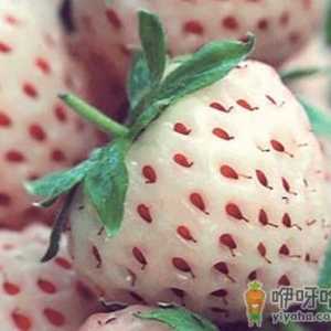 孕妇吃菠萝莓有什么好处？吃菠萝莓的注意事项