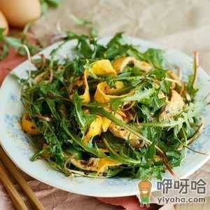 孕妇能吃蒲公英吗？孕妇吃蒲公英有什么好处