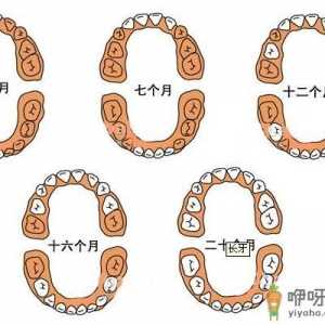 宝宝几个月长牙？宝宝长牙顺序图 长牙注意事项