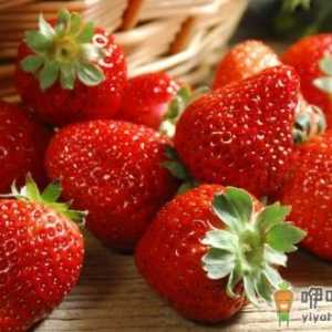食物保鲜 远远不只把它们放进冰箱那么简单哦