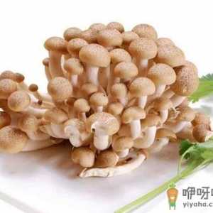 孕妇能吃蟹味菇吗？吃蟹味菇有什么好处