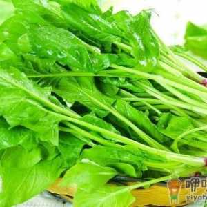 孕妈饮食很关键 孕期吃哪些食物会伤害胎儿