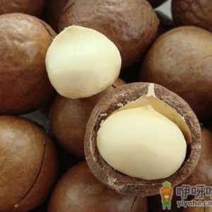夏威夷果怎么开？吃夏威果的注意事项