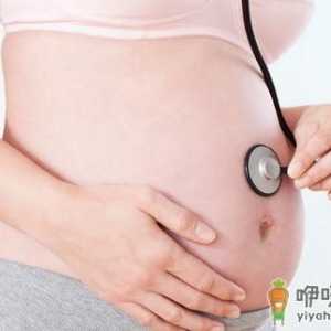 夏季孕妇养生食谱：青衣素心