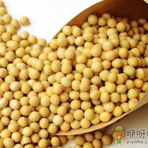 孕妇吃黄豆有什么好处？孕妇吃黄豆的做法