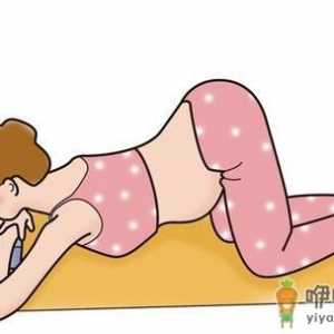 准妈妈应如何面对胎位不正