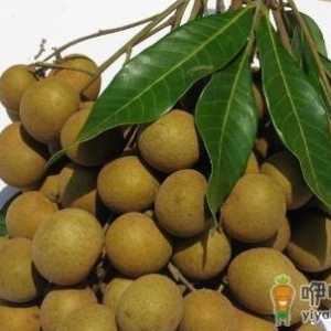 孕晚期水果鱼类盘点 孕妈值得注意