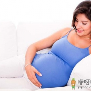 孕妇可以吃鸡吗？孕妇食谱推荐