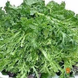 野菜可以吃吗？孕妇吃野菜有什么好处？
