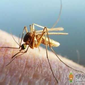 夏季帮宝宝远离蚊虫叮咬 让你的宝宝远离大脓包