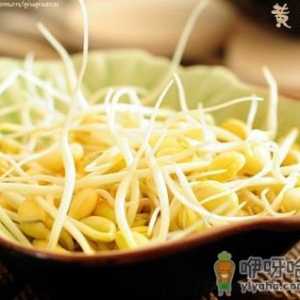 孕妇能吃黄豆芽吗？孕妇吃黄豆芽的做法
