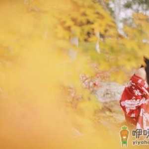 怀孕后体重多少算合适