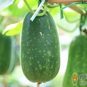 八种食材的日常保鲜小方法