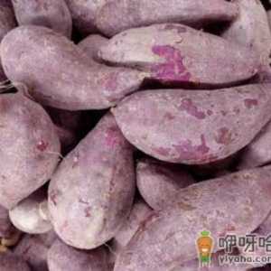 孕妇吃紫薯有什么好处？孕妇吃紫薯的做法