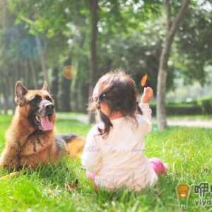 宝宝晕车咋办？宝宝能吃晕车药吗？