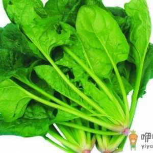 孕妇可以喝饮料吗？补充营养要吃什么？