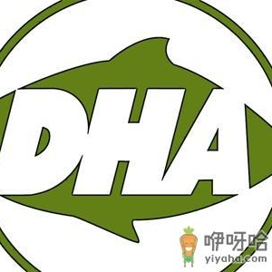 孕妇需要补充DHA吗？哪些食物富含DHA