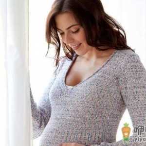 这些食物怀孕后不能吃
