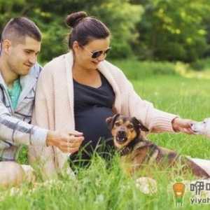 孕期最应警惕的13种生活危险