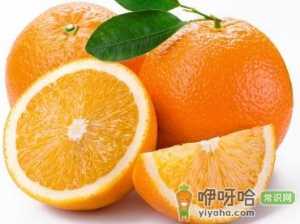 巧剥橙子皮-剥橙子皮的工具