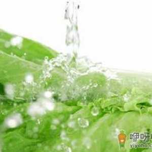 蔬菜农药残留怎么办？洗菜的小诀窍