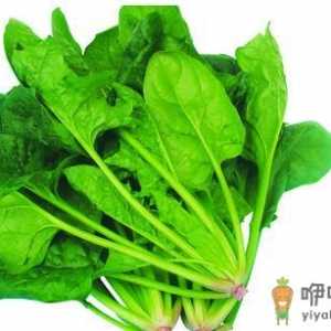 女人补血抗衰老 七款补血养颜美食永葆年轻