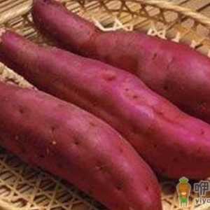5大美容食材吃出娇颜好肌肤