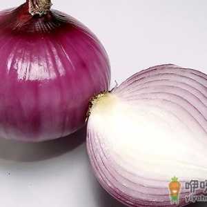 20种食物让女人青春永驻