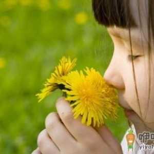 为啥高知家庭的孩子易自闭？