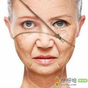 女人吃什么抗衰老 4种食物吃出好气色