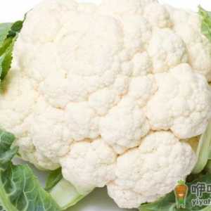 汇总适合女性抗衰老的食材