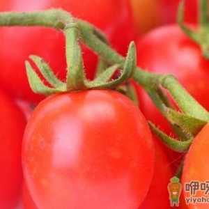 春季护肤养颜常吃八大食物 春季美白水果推荐
